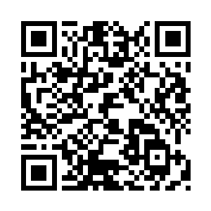 尊贵冷傲中隐隐透出一抹平素不常见到的痞意二维码生成