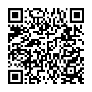 尊贵的夏先生我为斯科拉的冒犯向您和您的朋友郑重道歉二维码生成