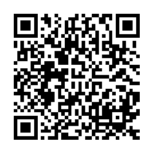 小丫头一路上的叽叽喳喳倒是给林烽这一路增加了不少的色彩二维码生成