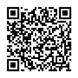 小九可以说是把这所有的一切都看在了眼睛里面二维码生成