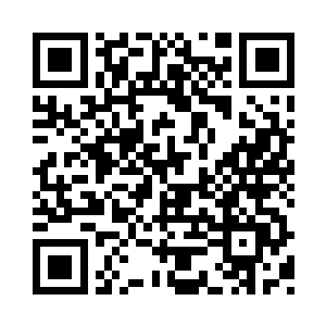 小九灵动的大眼睛很是人性化的向上翻了翻二维码生成