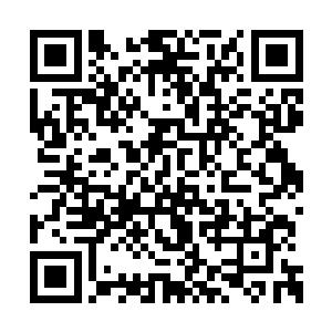 小保安这边的大喊大叫早惊动了现场的这些保安二维码生成