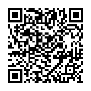 小修士在说起沐阳果的时候因为不知道它的价值二维码生成