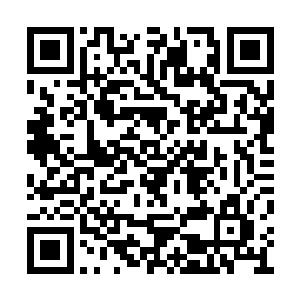 小册子上尽是各种各样的天才地宝的图案和说明二维码生成