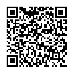 小剑灵这个话唠自从来到这里就没听它说一句话二维码生成