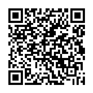 小叹便可以在一定程度上阅读周围各种生灵的情感与意图二维码生成