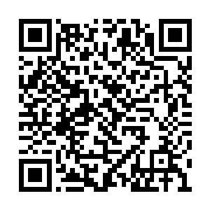 小叹早已练就了一身应对射击系对手的过硬本领二维码生成