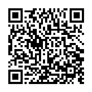 小名被宣扬的人尽皆知自觉没面子的墨小宝沉思了半天二维码生成