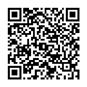 小唐还冲动幼稚的像个小孩子……果然人是不能比的啊二维码生成