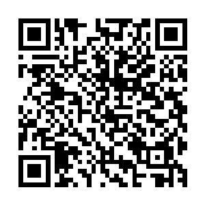小型坊市内那些仿佛永远有出售不完的灵米的店铺全都关门了二维码生成