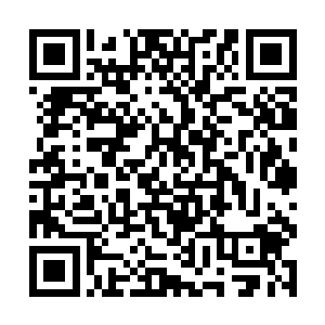 小夭终于发现走廊上被围攻的学生是她的哥哥那帮人二维码生成