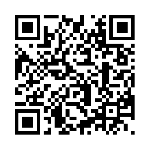 小女孩过去把浑身发抖的小狼抱在怀里二维码生成