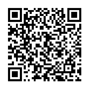 小姐也不应该这样对待姑爷啊……姑爷一定会生气的二维码生成