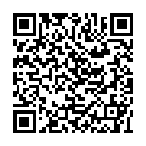 小娃叔叔说了两三天就能确定小白具体所在地了二维码生成