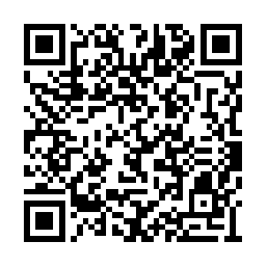 小子你的伤势太重了……你修炼有欢喜禅经……二维码生成