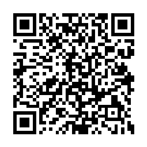小孩子总是要在自己最亲的人身边才会有安全感二维码生成