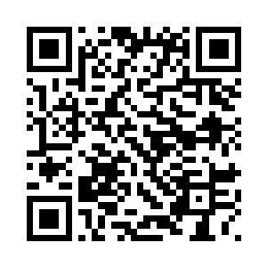 小宝和火狐与其他修士在身后不远二维码生成