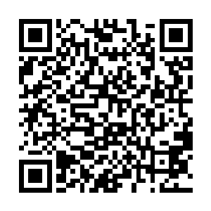 小宝的力量也随着这灰色气体的出现而变得大的出奇二维码生成