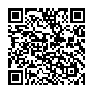 小家伙急忙抱起那个比她还高的兔子玩偶不停的打滚二维码生成