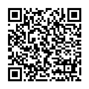 小家伙明显没明白聂离和羽焰女神到底在讲些什么二维码生成