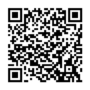 小家伙身体各种问题也是因为进化不到位所造成二维码生成