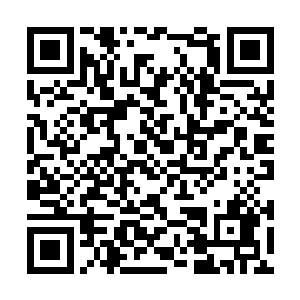 小家伙还不知道这种看起让人心酸酸的表情叫什么二维码生成