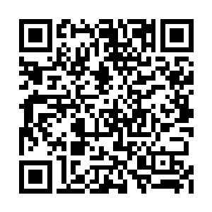 小小的七品帝国竟然诞生了小兄弟你这样的天才二维码生成