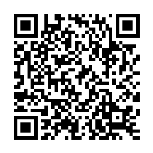 小小的身体和灿烂的笑容一点点扫去了阿母和阿父逝去的悲痛二维码生成