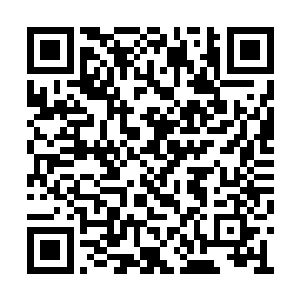 小小的鱼类怎么敢在自己的面前如此的肆无忌惮二维码生成