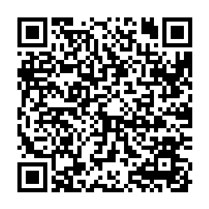 小小龙氏家族不知怎么突然冒出來了一个龙英杰…他自己妖孽倒也罢了二维码生成