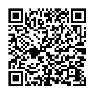 小希和武当的青玄道长等七个修真高手也赶到了九龙雪山二维码生成