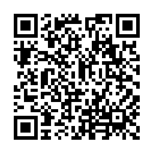 小心翼翼爬过废墟又绕开了凶兽巨大狰狞的骸骨二维码生成