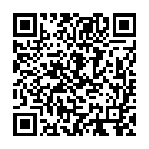 小心翼翼的从自己的包里拿出了一本证件来递了过去二维码生成