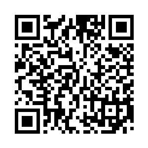 小心翼翼的抚摸着不断瑟瑟发抖的小兔子二维码生成