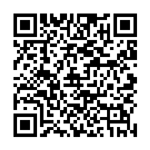 小朋友们的胳肢窝下都夹着两个鼓鼓囊囊的新枕头……二维码生成