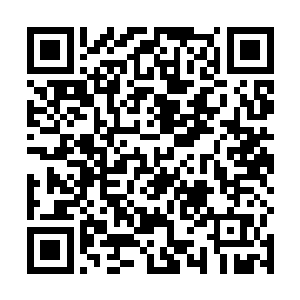小正太两只胖呼呼的小手使劲的想把脸上的两只手拉开二维码生成