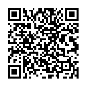 小演员井少的艺人新媒体指数更是已经窜到了前三二维码生成