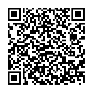 小灵他们交流的那部分内容……好像就这么顺理成章地被当成事实了……二维码生成