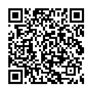 小灵用自己的力量把隐藏在里面的天地玄奥唤醒二维码生成