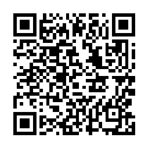 小烽应该都足够……只要到时候小烽真的愿意去当飞行员二维码生成