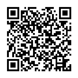 小熊不感兴趣的盘腿坐在垫子上撑着下巴想赚钱的法子二维码生成