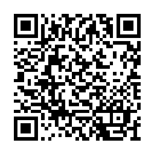 小熊的注意力早已经被长案上的东西吸引过去了二维码生成