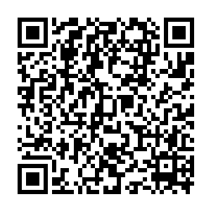 小狗狗……我知道你可能听不懂我的话……不过我需要你的帮助……二维码生成
