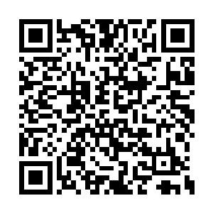 小猫小狗你看我去救不……你看我这也没白来吧二维码生成