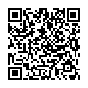 小男孩顿时感到一阵温暖的感觉传递到自己心间二维码生成