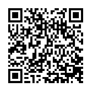 小白立刻喜滋滋的将药材给拔了出来小心翼翼的收起来了二维码生成