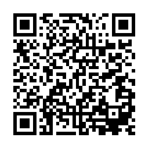 小神蚕也已经默认了秦方这个新主人的存在了……打了一声招呼二维码生成