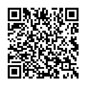 小种虽然继承了兄长为陕西将门团体代表的地位二维码生成