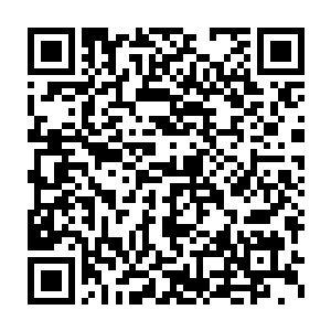 小红他们三十二个骷髅围成了一个圈静静的看着太极图上的小女孩二维码生成