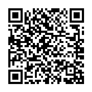 小胖只有高兴的时候才会多吃饭呢→所以爸爸最近一定特别高兴二维码生成